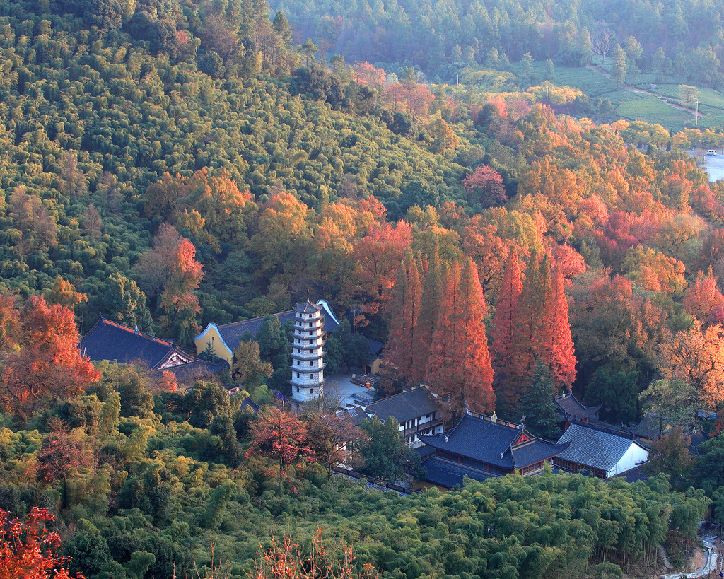 灵峰街道 "两山"理念 在2005年8月安吉余村诞生,随着2017年十九大的