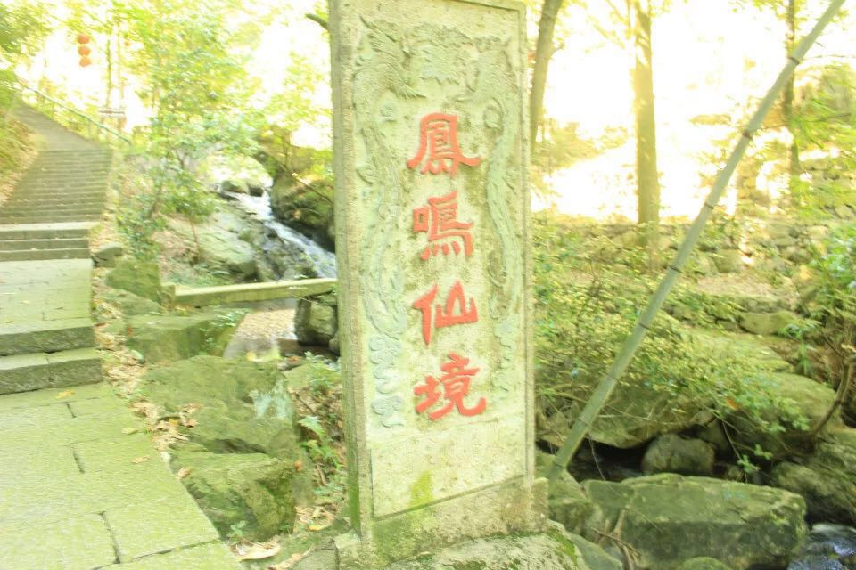 上虞中华孝德园,龙山公园,凤鸣山景区,杭州湾海上花田之游