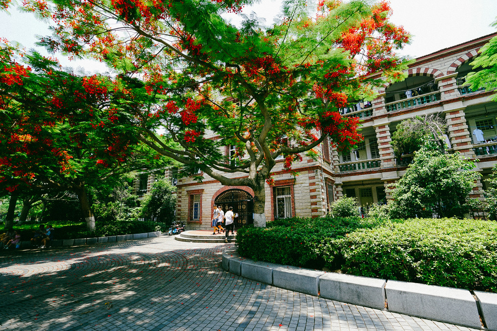 十种打开厦门的方式 小黑妞の鹭岛游学之旅