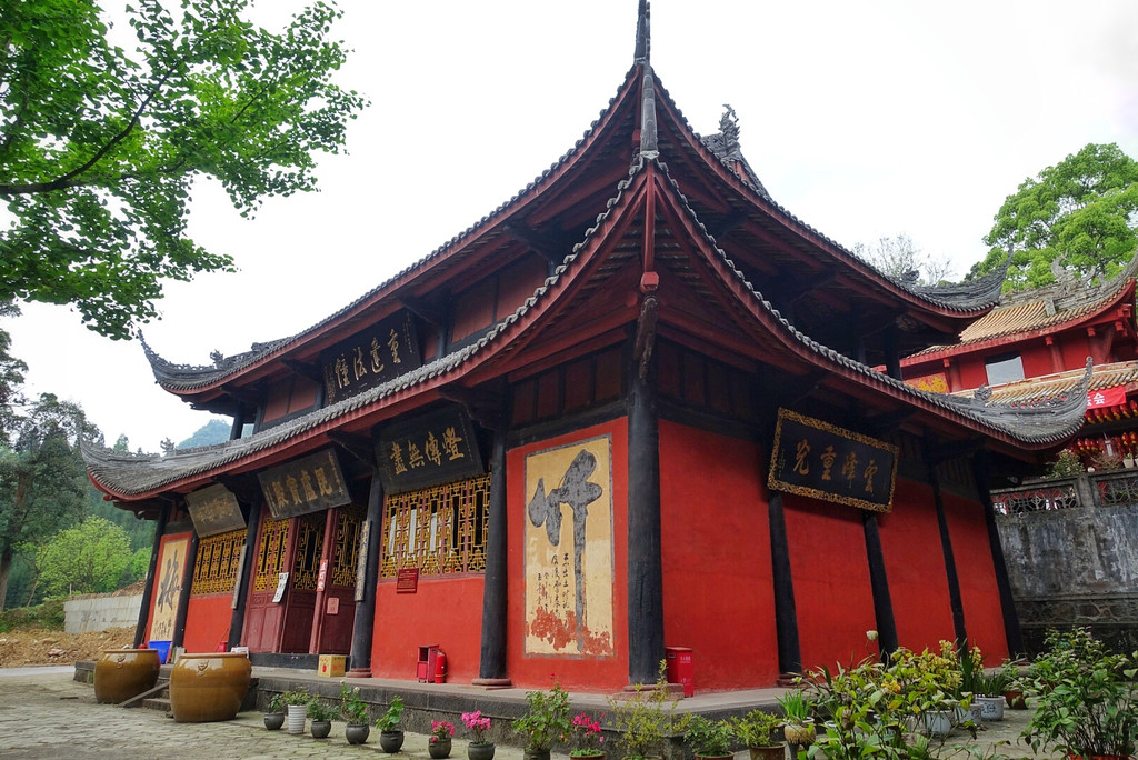 雅安荥|龙苍沟鸽子花,云峰,砂器,博物馆,名小吃,南丝绸之路上的色