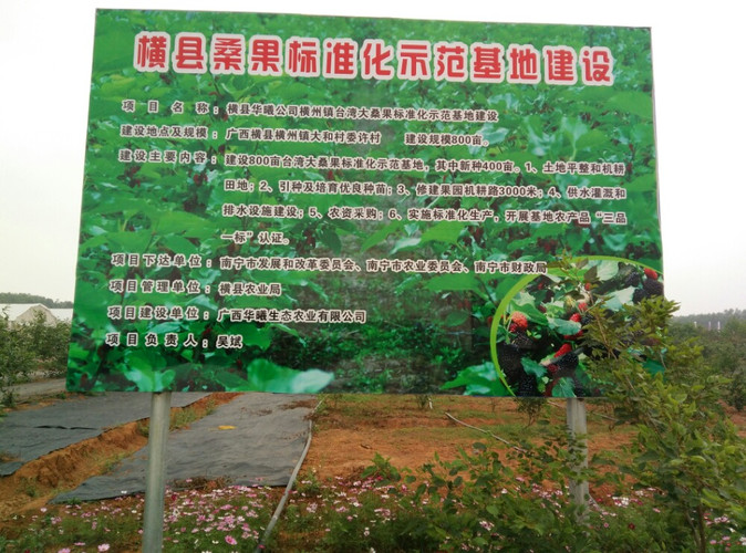年4月15日,今天天气晴朗,我们和朋友一起,游华生态农业横县大和基地!