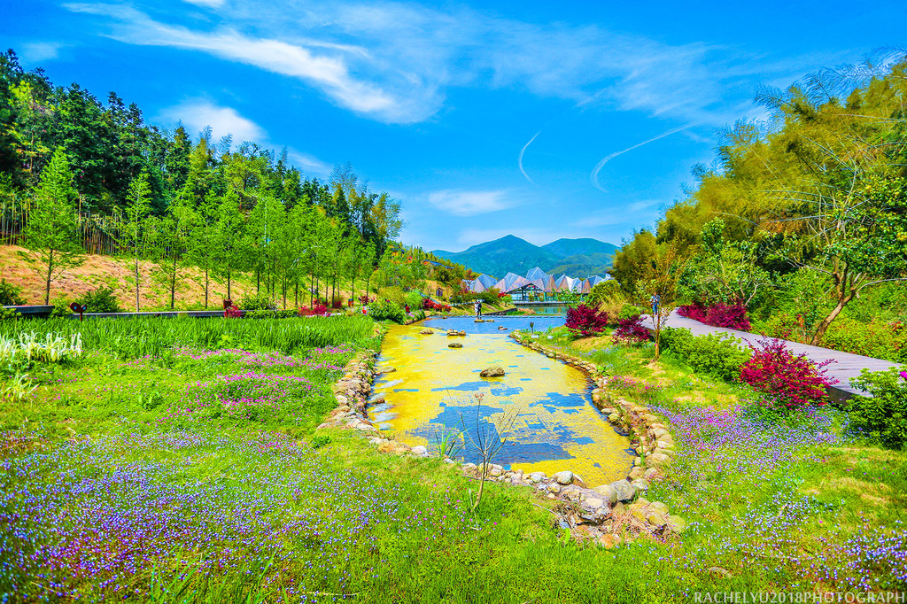 梅岭竹海明珠