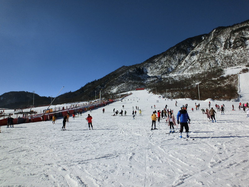 成都 海螺沟 燕子沟 四人同山 西岭雪山,自虐并快乐着