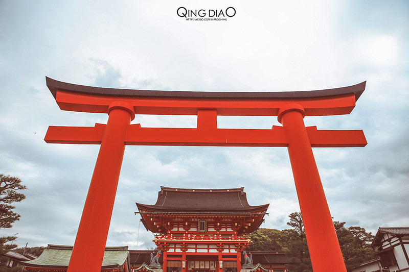 视频征集令#清新之旅 热毡 