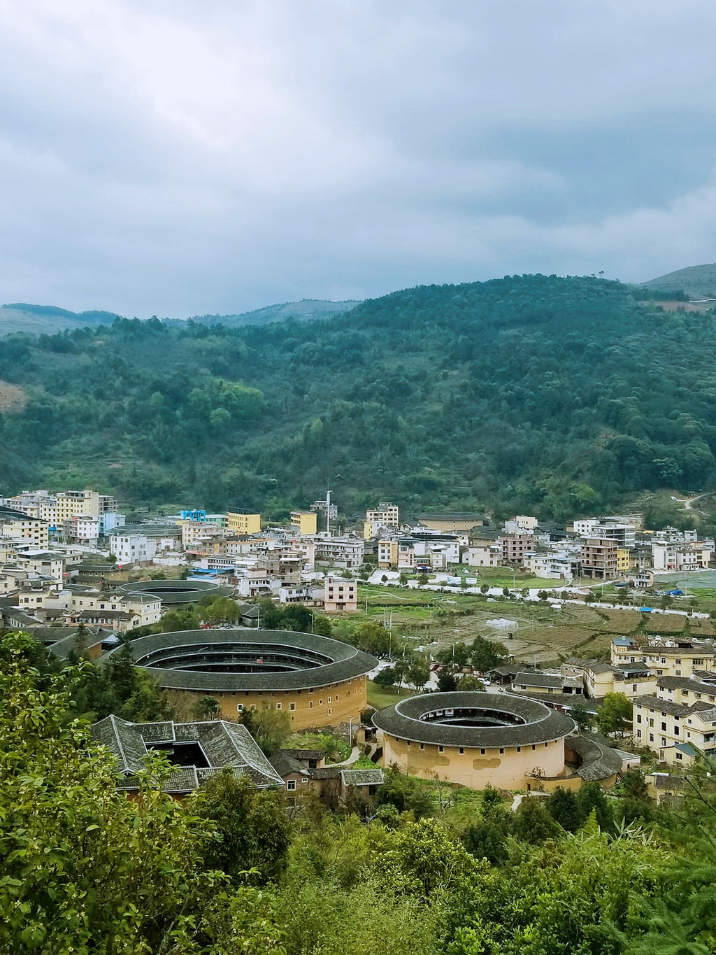 【福建 龙岩】永福樱花园|3月一场说走就走的旅行