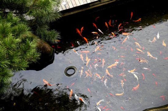 花筑·安吉仲德苑客栈网上预订,地址,价格,电话查询【携程客栈】