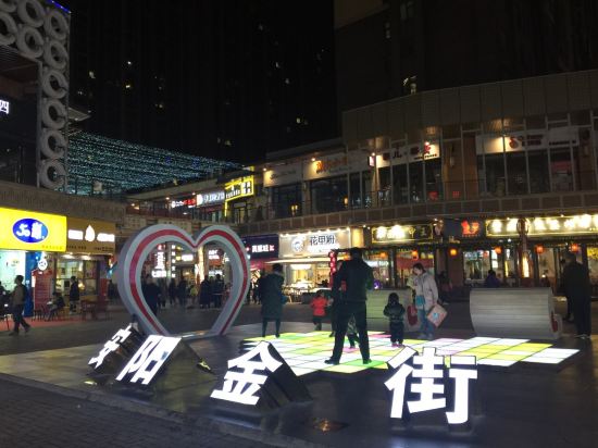 酒店位于安阳市黄金地段,周边吃喝玩乐一应俱全,旁边