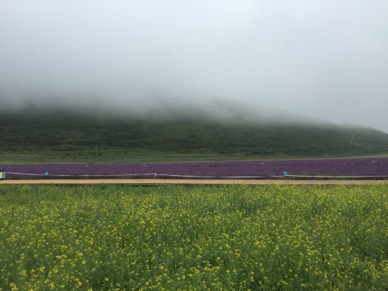 松潘川主寺人口查询_携程酒店 松潘川主寺假日酒店预订 松潘川主寺假日酒店