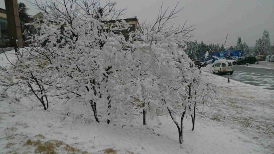 <em>武隆仙女山华邦酒店</em>预订价格,联系<em>电话</em>\位置地