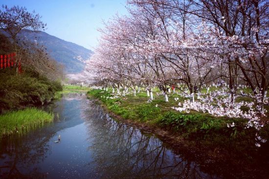 三月二十八入住,幸运…,绍兴老台门鲁迅故里国