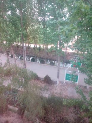 徐水大午温泉酒店怎么样\好不好\服务点评