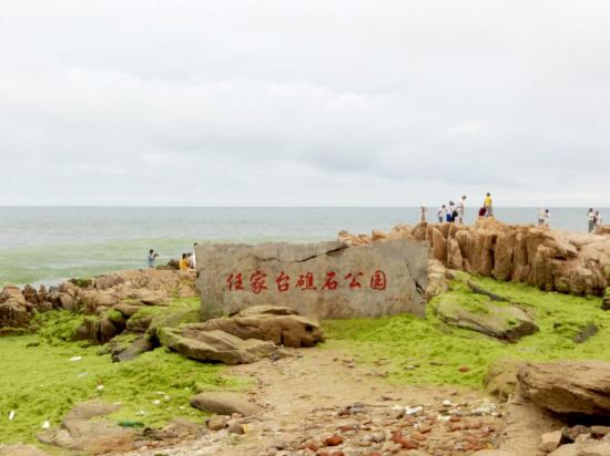 6月日照海鲜价格_日照海鲜大餐_6月风景(2)