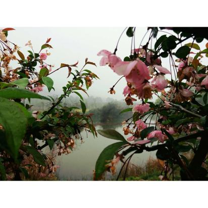 南京高淳国际慢城淳味农家乐预订价格,联系电