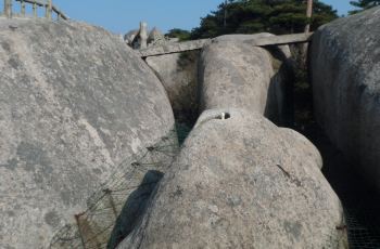 【携程攻略】天柱山渡仙桥附近景点,渡仙桥周边景点