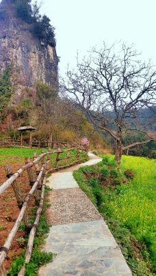 曾家山景区