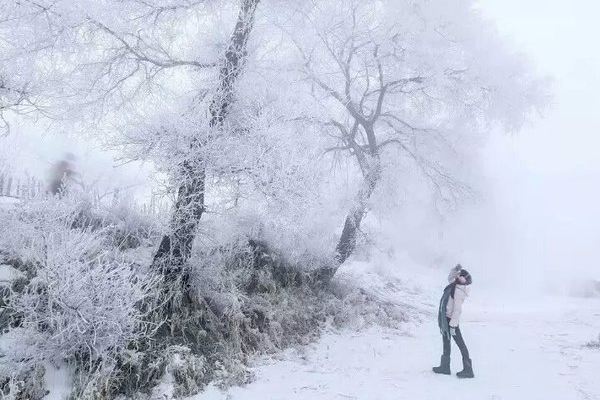 大雪纷飞东北最北——我的漠河雪中情之旅