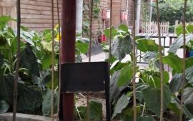 邢台邢台丰乐园天气预报,历史气温,旅游指数,邢