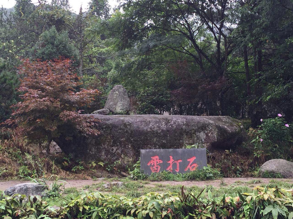 据说这块石头被雷击后从山上滚下来的,故称"雷打石