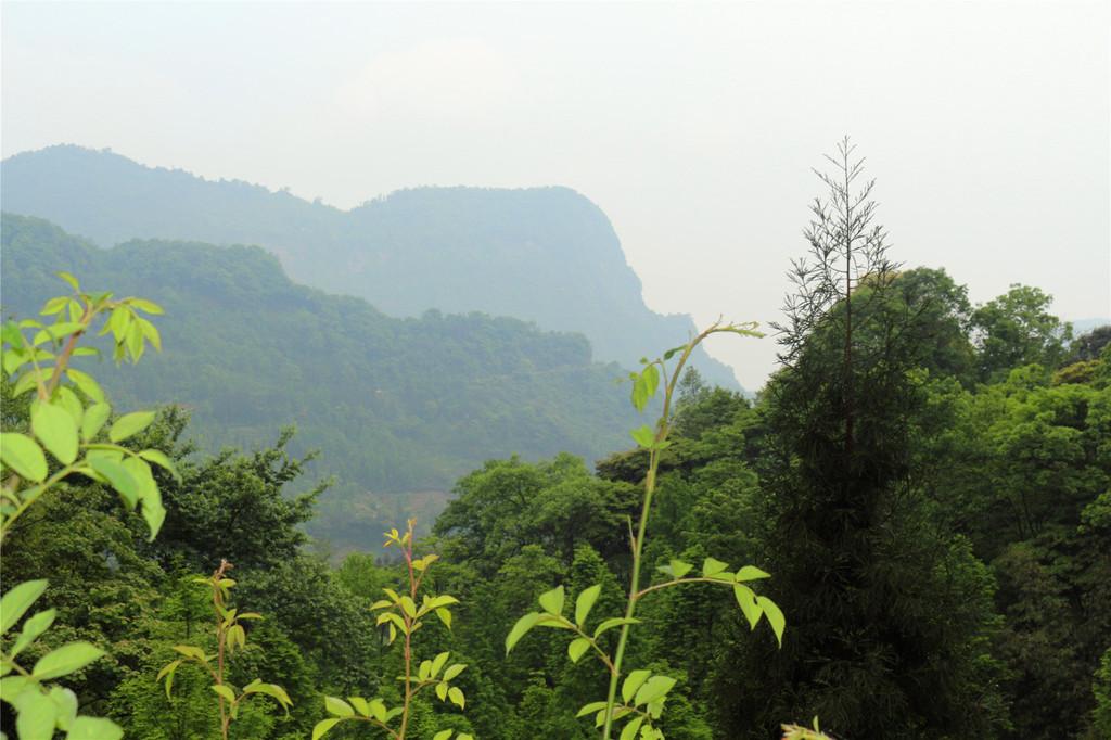 都江堰赵公山