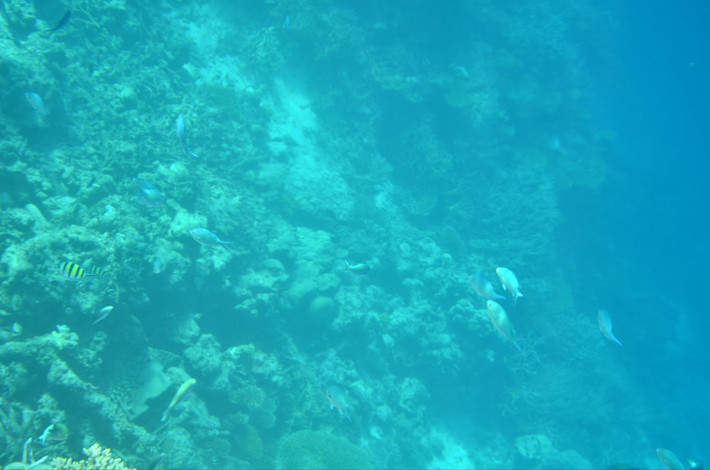            浅海区和深海区的断层