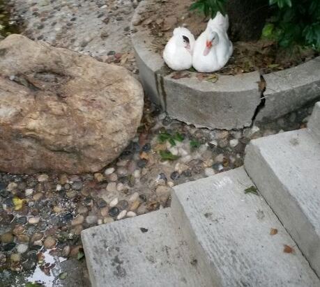 广州大厦白云山庄旅舍怎么样\好不好\服务点评