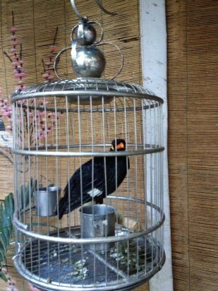 古诗中有笼月倚墙东一句的全文?-次韵梨花 桃