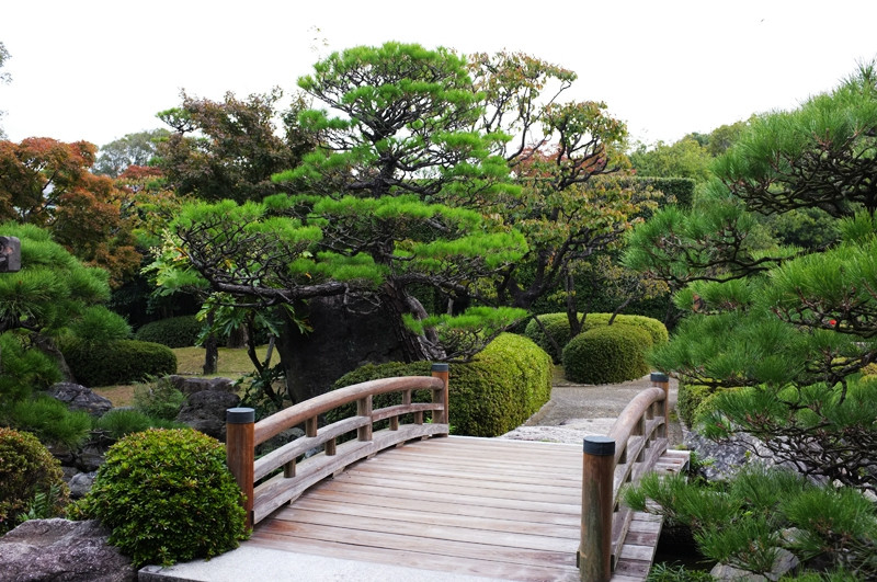 日本庭院的小景
