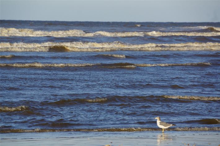 国庆烟台5日亲子自由行,烟台特色美食大全,美