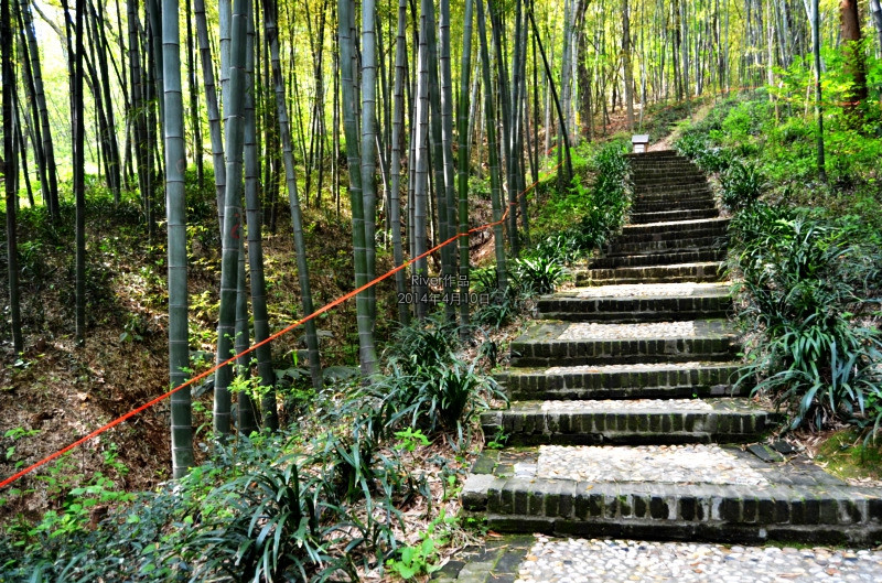 竹林寺