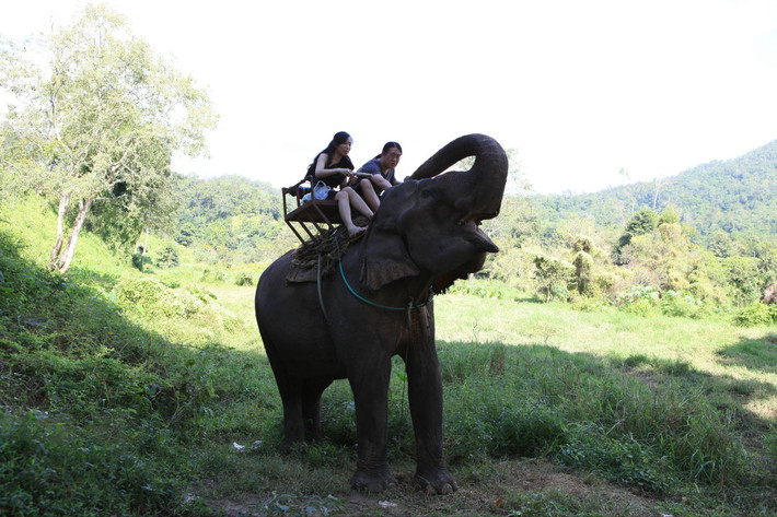 如果没有爱泰国烂地方不值得一去(上)