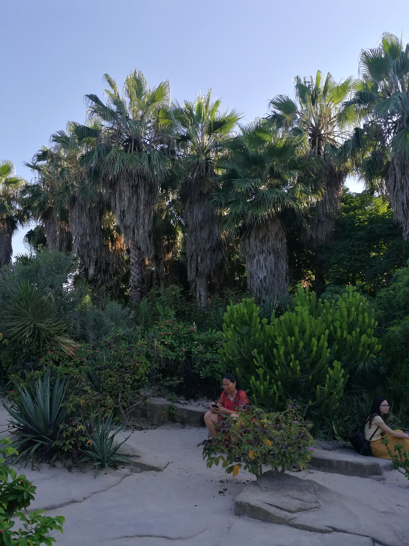 携2岁娃儿逛吃在厦门(6天5晚亲子游)