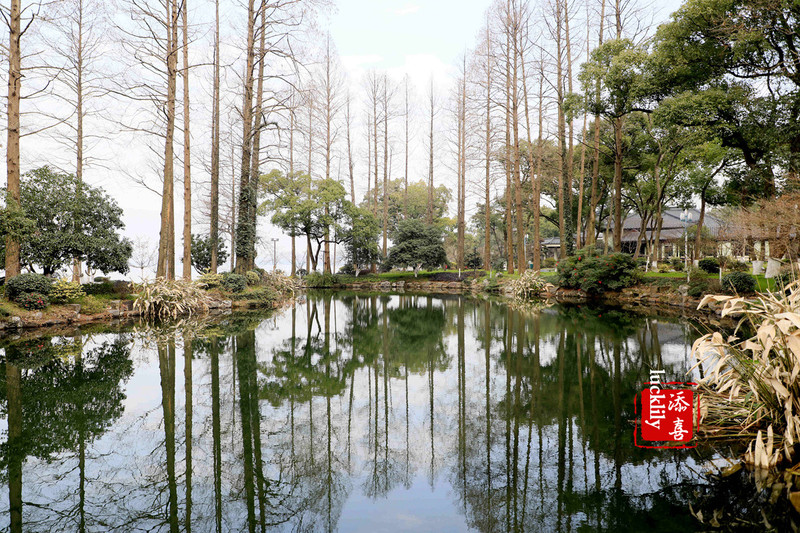 【杭州美食生活】举行G2O欢迎晚宴的西子宾