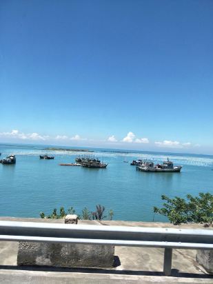 平阳南麂岛海景山庄