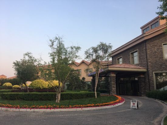 宁夏沙湖假日酒店点评