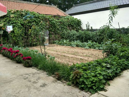 跑馬去住的店,感受了一把北方農家風光,周邊風景如畫,農家院環境還