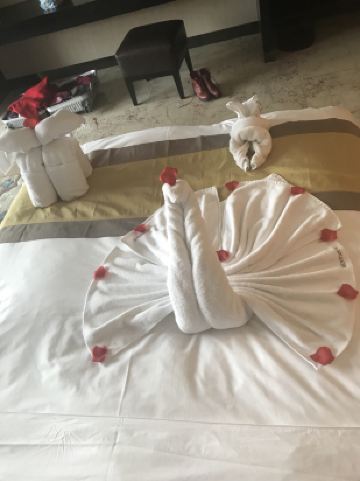 送水果泡花茶,还有可爱的红拖鞋,毛巾叠成大象,孔雀和小兔子太灵啦