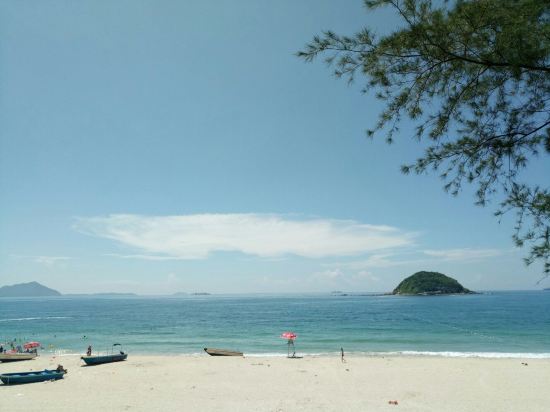 关于深圳田心舍民宿