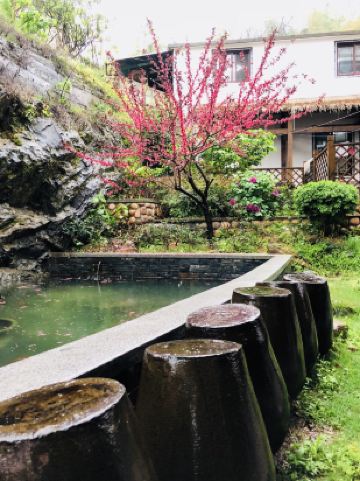 淳安翠鸟庄园民宿