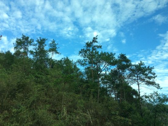 新昌瑞和度假村
