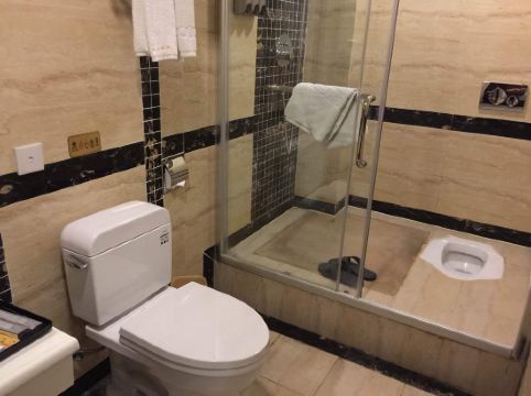 房间大,厕所是双便器,坐便和蹲便,适合所有人,很是周到!