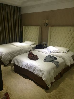 开平新海逸酒店