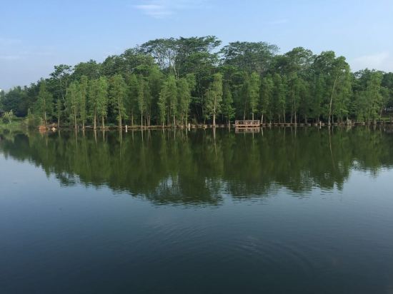 饒平綠島山莊綠泉酒店