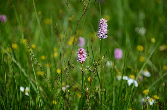 留在心底的风景--自驾西藏(中篇)
