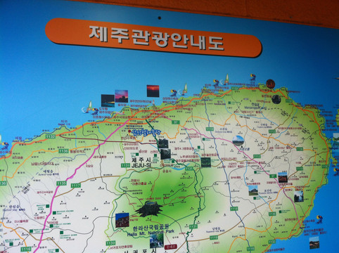 晒美食#跟着当地人,吃在济州岛